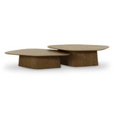 Roche Ash Nesting Coffee Table Set by TOV Furniture at Eve Furniture