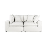 Cali Performance Fabric Modular Loveseat by TOV Furniture at Eve Furniture