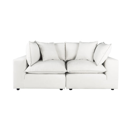 Cali Performance Fabric Modular Loveseat by TOV Furniture at Eve Furniture