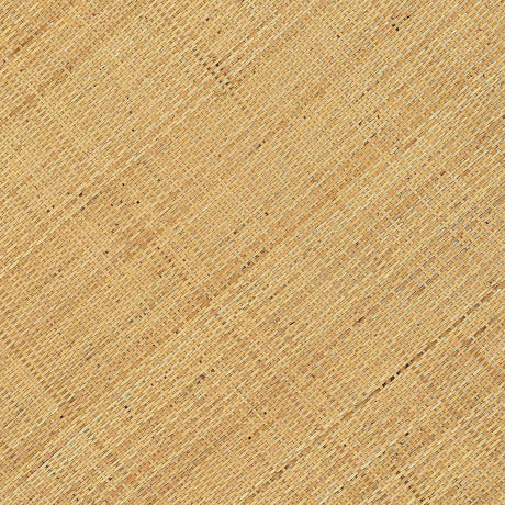 Amara Natural Rattan Coffee Table by TOV Furniture at Eve Furniture