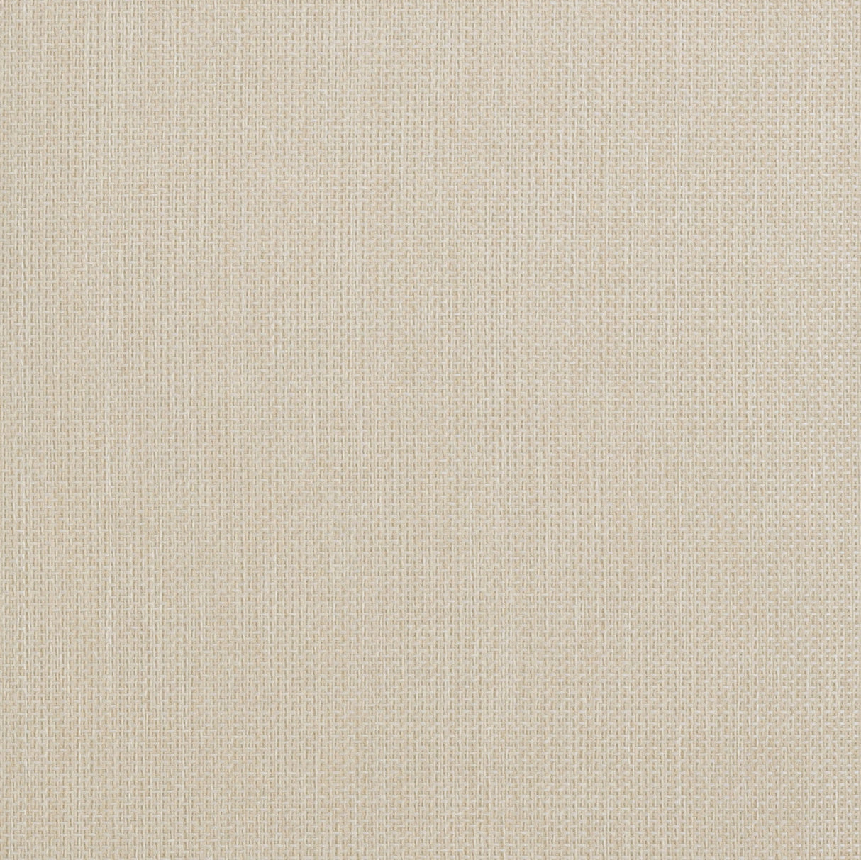 Sardinia Cream Outdoor Dining Chair - Set of 2 by TOV Furniture at Eve Furniture