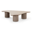Rhema Washed Ash Organic Low Coffee Table by TOV Furniture at Eve Furniture