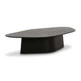 Roche Ash Low Coffee Table by TOV Furniture at Eve Furniture