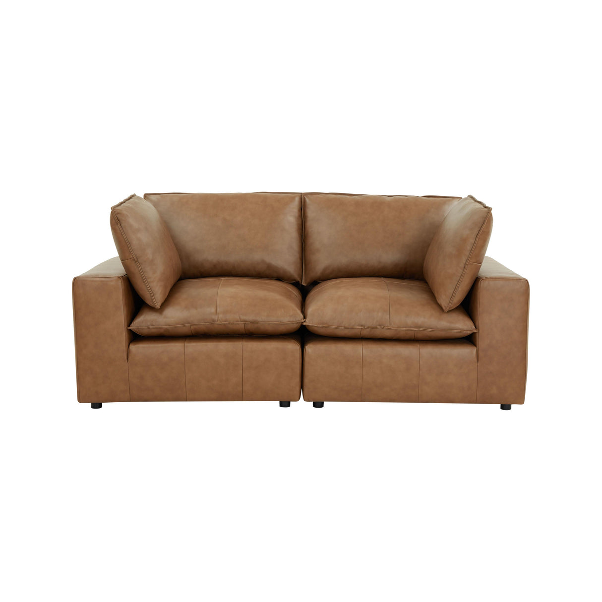 Cali Brown Leather Modular Loveseat by TOV Furniture at Eve Furniture