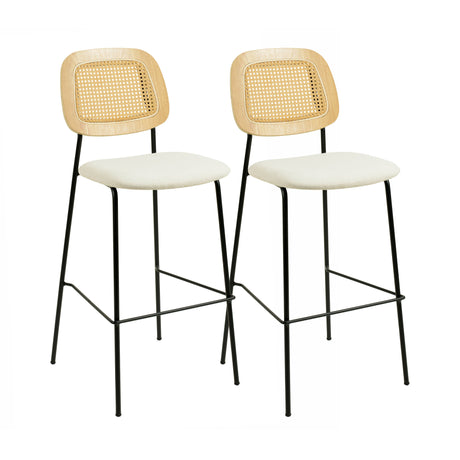 Anais Natural Rattan Counter Stool - Set of 2 by TOV Furniture at Eve Furniture