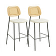Anais Natural Rattan Counter Stool - Set of 2 by TOV Furniture at Eve Furniture