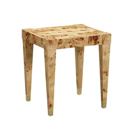Brandyss Burl End Table by TOV Furniture at Eve Furniture
