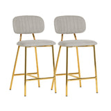Ariana Grey Counter Stool with Gold Legs - Set of 2 by TOV Furniture at Eve Furniture