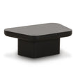 Yoko Black Coffee Table by TOV Furniture at Eve Furniture