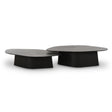 Roche Ash Nesting Coffee Table Set by TOV Furniture at Eve Furniture