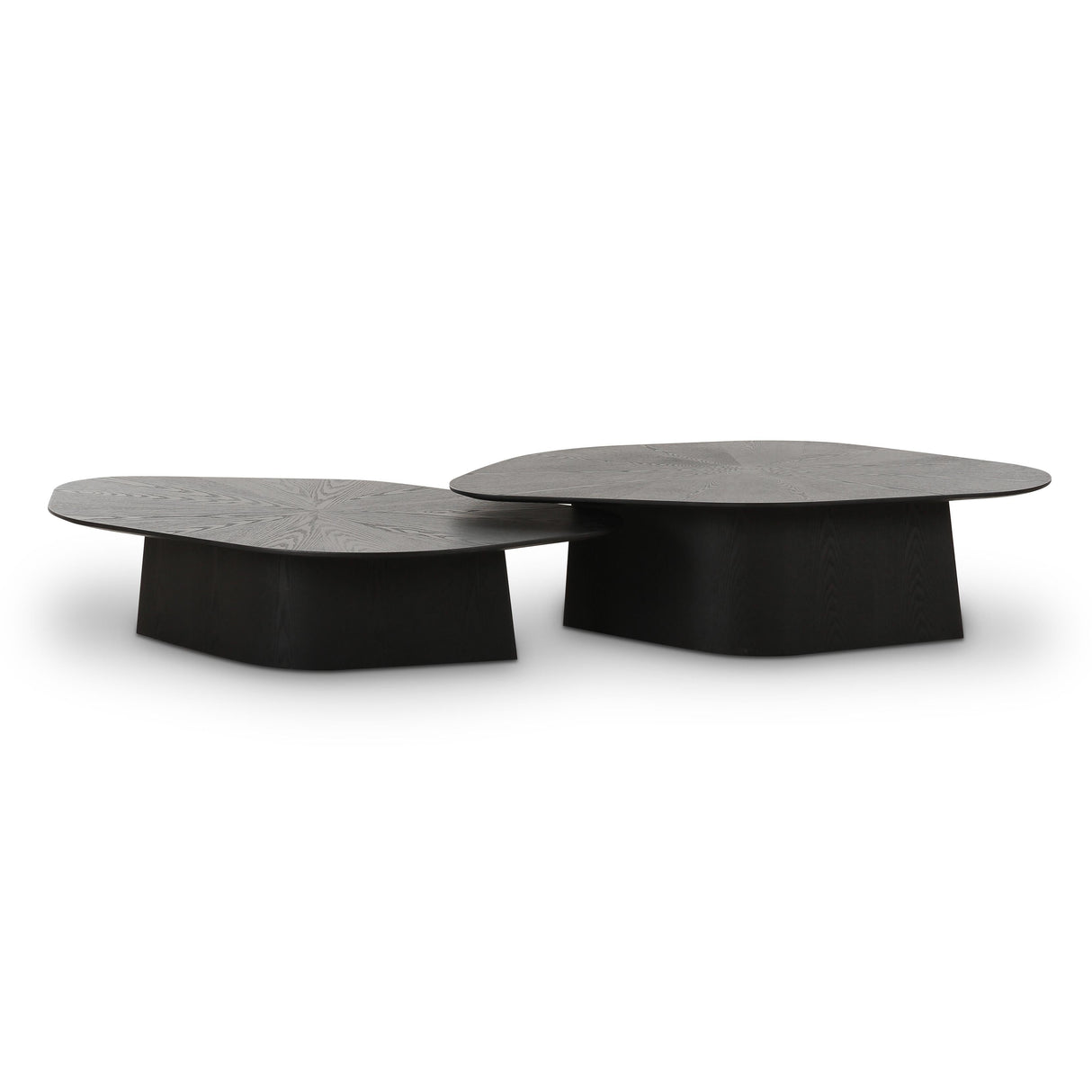 Roche Ash Nesting Coffee Table Set by TOV Furniture at Eve Furniture