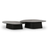Roche Ash Nesting Coffee Table Set by TOV Furniture at Eve Furniture