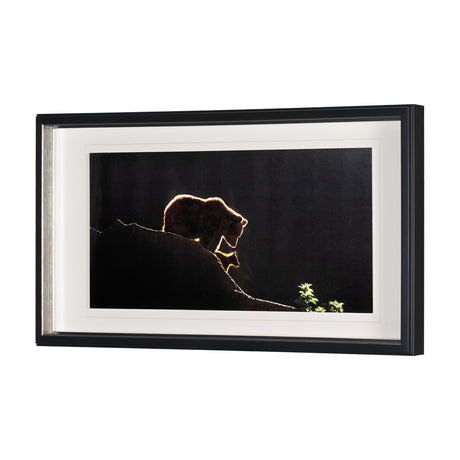 Protection by Xavier Ortega a Framed Photo Art Print Matted under Glass by Mercana at Eve Furniture