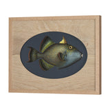Pseudobalistes Fuscus by Mercana Studio Hand Embellished Textured Framed Art Print Matted under Glas by Mercana at Eve Furniture
