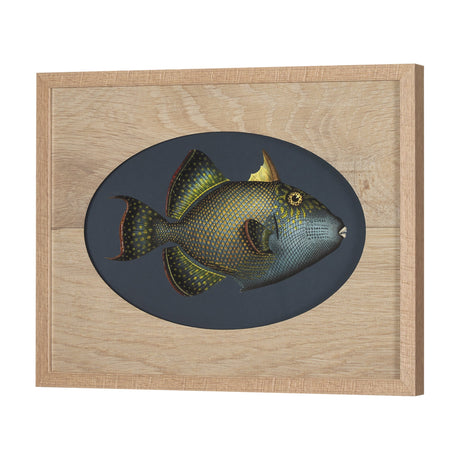 Pseudobalistes Fuscus by Mercana Studio Hand Embellished Textured Framed Art Print Matted under Glas by Mercana at Eve Furniture