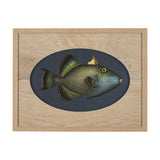 Pseudobalistes Fuscus by Mercana Studio Hand Embellished Textured Framed Art Print Matted under Glas by Mercana at Eve Furniture