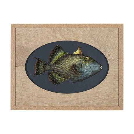 Pseudobalistes Fuscus by Mercana Studio Hand Embellished Textured Framed Art Print Matted under Glas by Mercana at Eve Furniture