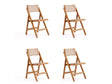 Pullman Folding Dining Chair in Nature Cane (set of 4) by Manhattan Comfort at Eve Furniture