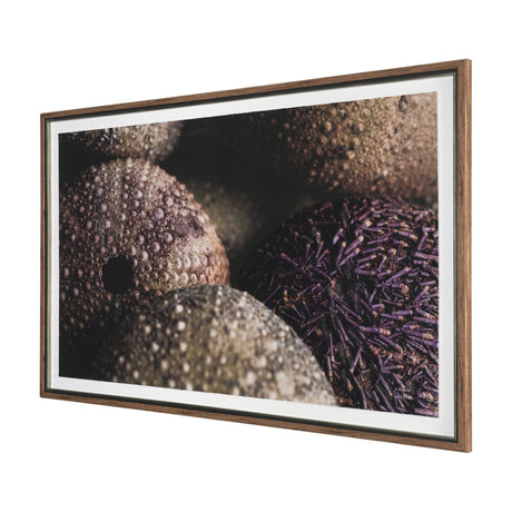 Purple Sea Urchins by Nathan Larson a Hand Embellished Framed Photo Art Print Matted under Glass by Mercana at Eve Furniture