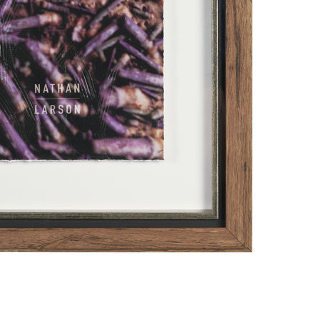 Purple Sea Urchins by Nathan Larson a Hand Embellished Framed Photo Art Print Matted under Glass by Mercana at Eve Furniture
