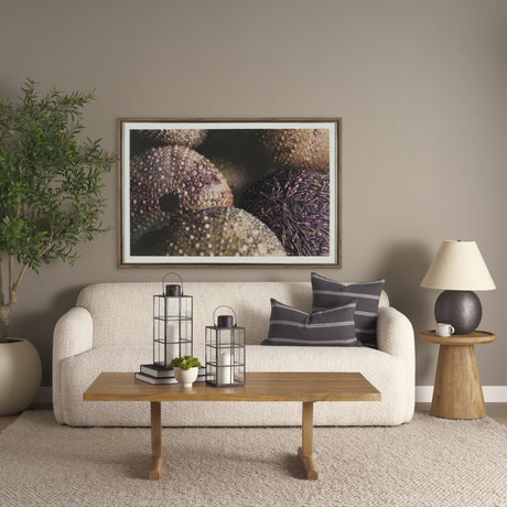 Purple Sea Urchins by Nathan Larson a Hand Embellished Framed Photo Art Print Matted under Glass by Mercana at Eve Furniture