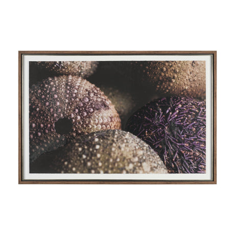 Purple Sea Urchins by Nathan Larson a Hand Embellished Framed Photo Art Print Matted under Glass by Mercana at Eve Furniture