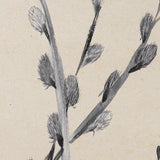 Pussy Willow by Cristina Bartl Villa Hand-Embellished Textured Framed Artwork Matted under Glass by Mercana at Eve Furniture