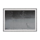 Quiet Morning by Matt Roseveare a Framed Photo Art Print Matted under Glass by Mercana at Eve Furniture