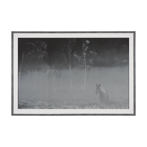 Quiet Morning by Matt Roseveare a Framed Photo Art Print Matted under Glass by Mercana at Eve Furniture