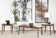 Radley Natural Walnut 3-Piece Occasional Set by Coaster at Eve Furniture