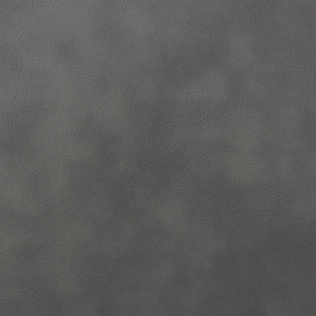 Raelynn Gray Upholstered Motion Reclining Living Room Set by Coaster at Eve Furniture