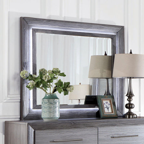 Raiden Gray Mirror by Furniture of America at Eve Furniture