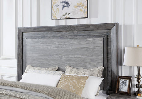 Raiden Gray Queen Bed by Furniture of America at Eve Furniture