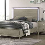 Rainier Gray 4-Piece Queen Bedroom Set by Furniture of America at Eve Furniture