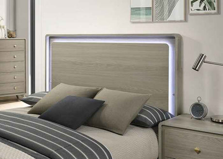 Rainier Gray 4-Piece Queen Bedroom Set by Furniture of America at Eve Furniture