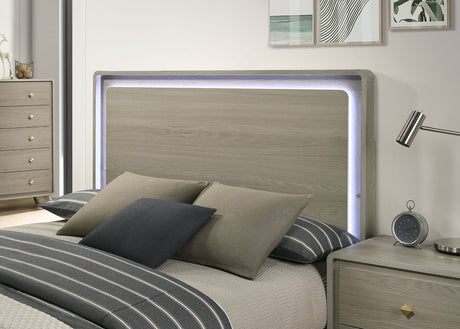 Rainier Gray Eastern King Bed by Furniture of America at Eve Furniture