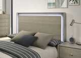 Rainier Gray Queen Bed by Furniture of America at Eve Furniture