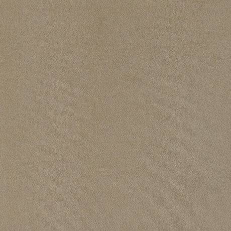 Rainn Latte 3-Piece Upholstered Tight Back Living Room Set by Coaster at Eve Furniture