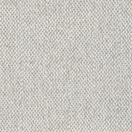 Rainn Latte Upholstered Tight Back Living Room Set by Coaster at Eve Furniture