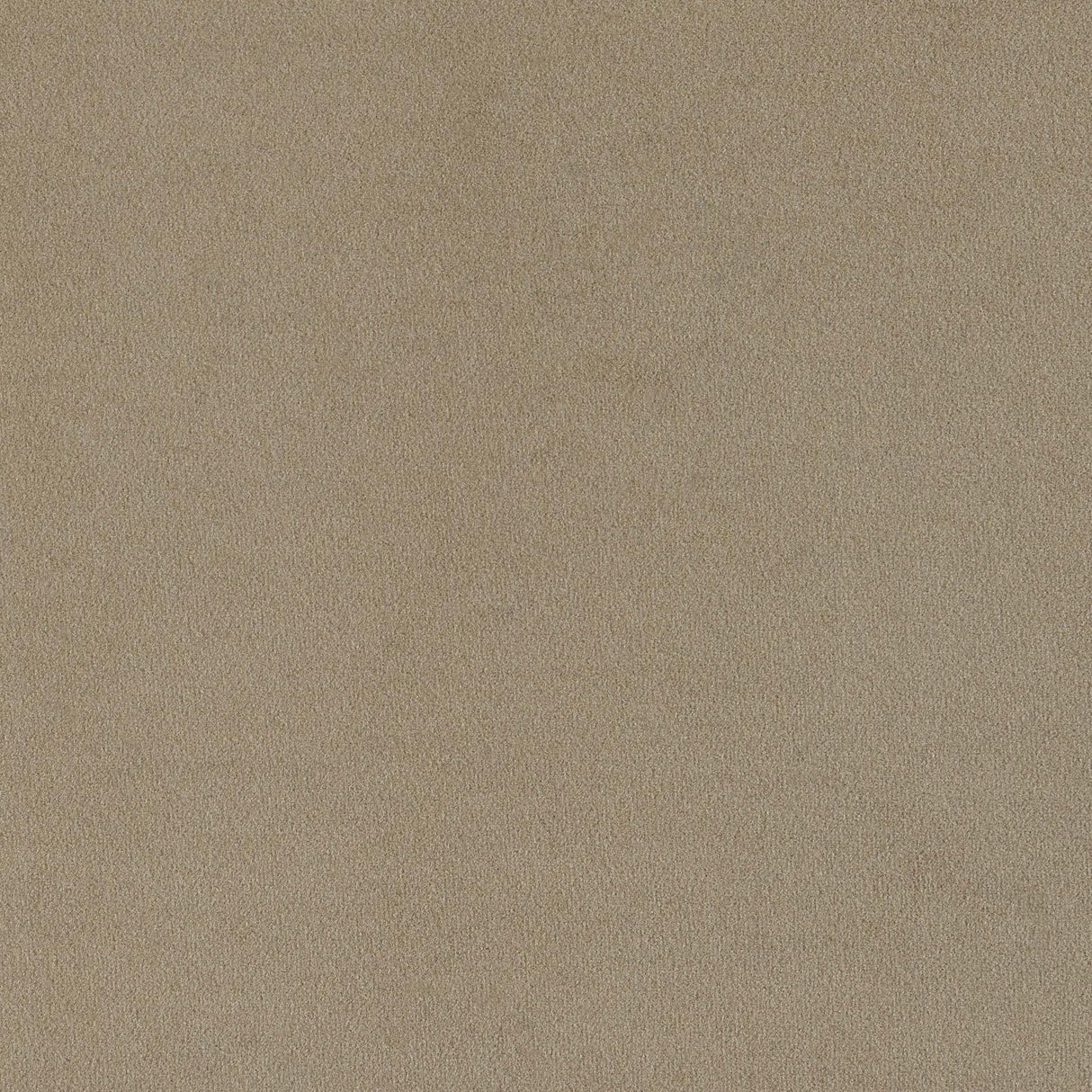 Rainn Latte Upholstered Tight Back Living Room Set by Coaster at Eve Furniture