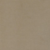 Rainn Latte Upholstered Tight Back Living Room Set by Coaster at Eve Furniture