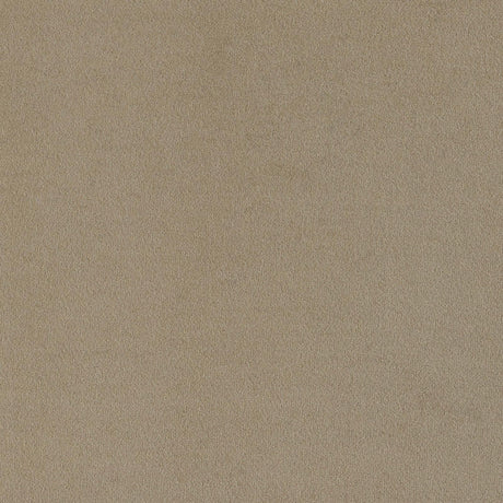 Rainn Latte Upholstered Tight Back Living Room Set by Coaster at Eve Furniture