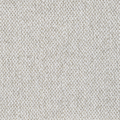 Rainn Latte Upholstered Tight Back Sofa by Coaster at Eve Furniture