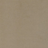 Rainn Upholstered Tight Back Chair Latte by Coaster at Eve Furniture