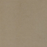 Rainn Upholstered Tight Back Chair Latte by Coaster at Eve Furniture