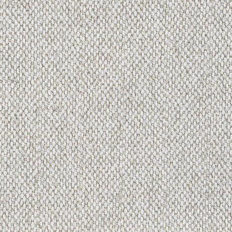 Rainn Upholstered Tight Back Chair Latte by Coaster at Eve Furniture