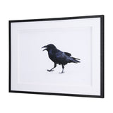 Raven Beauty by Gary Blatter a Hand Embellished Textured Framed Photo Art Print Matted under Glass by Mercana at Eve Furniture