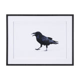 Raven Beauty by Gary Blatter a Hand Embellished Textured Framed Photo Art Print Matted under Glass by Mercana at Eve Furniture