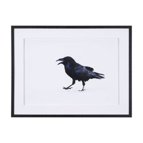 Raven Beauty by Gary Blatter a Hand Embellished Textured Framed Photo Art Print Matted under Glass by Mercana at Eve Furniture