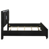 Ravenne Black Velvet Upholstered California King LED Panel Bed by Coaster at Eve Furniture